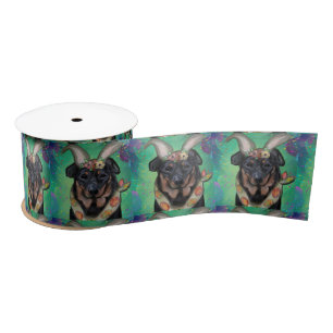 Ruban En Satin Berger de Beauce