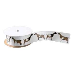 Ruban En Satin Blanc de chèvre laitière naine nigériane