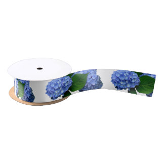 Ruban En Satin Bleu Hydrangée Fleurit Verdure