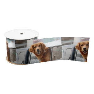 Ruban En Satin Bonjour