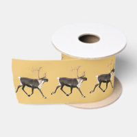 Bull Caribou