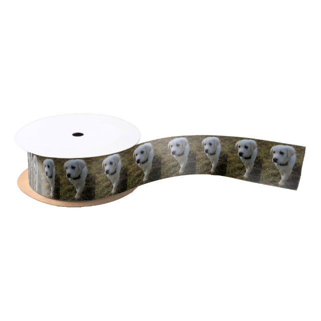 Ruban En Satin Caramel (Bobine)