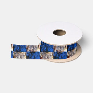 Ruban En Satin carnivest