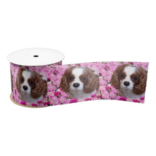 Ruban En Satin Cavalier King Charles Spaniel Pivoines