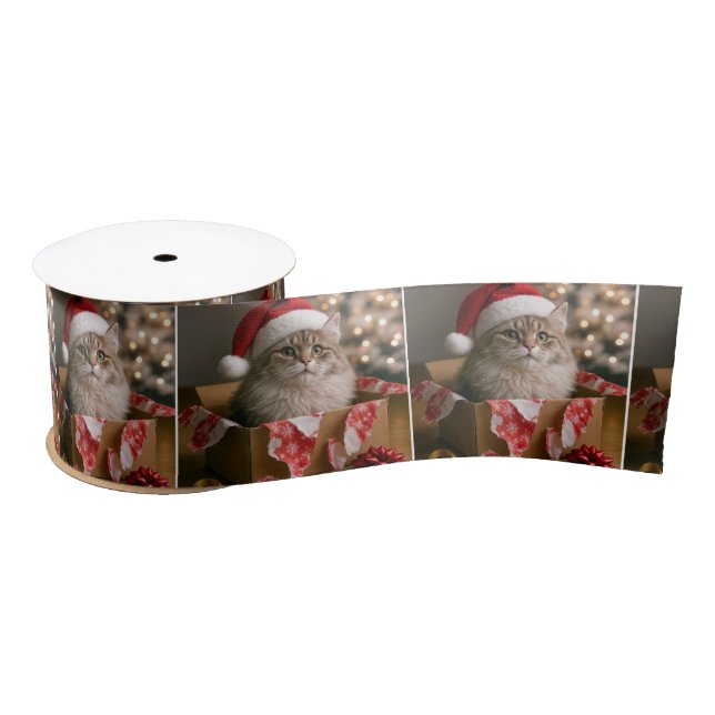 Ruban En Satin Chat dans une boîte de cadeau de Noël (Bobine)