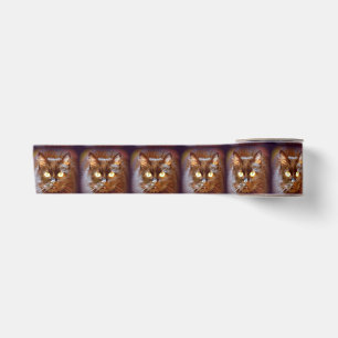 Ruban En Satin chats noirs
