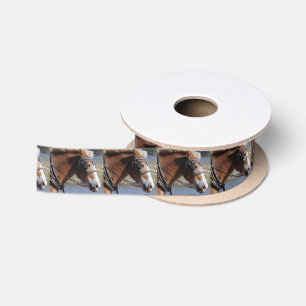 Ruban En Satin Cheval belge