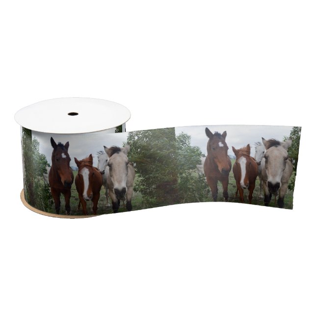Ruban En Satin Cheveux Frisqués : De Bons Problèmes De Cheval, (Bobine)