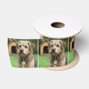 Ruban En Satin Chien Hirsute Adopté Avec Niche