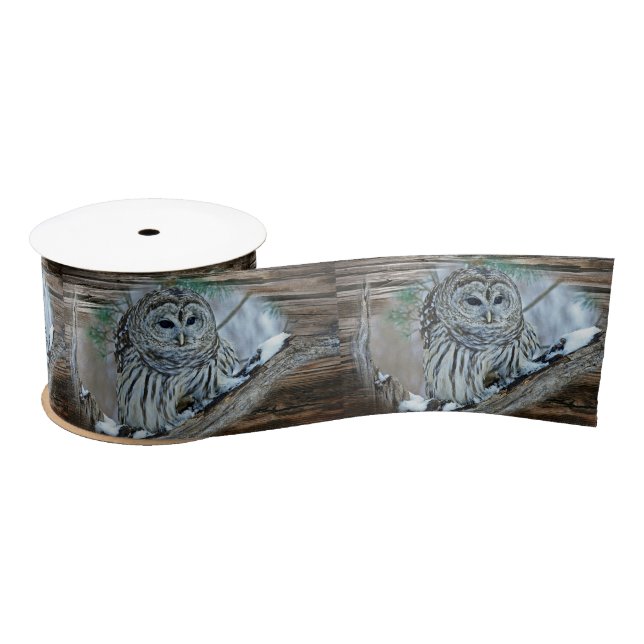 Ruban En Satin Chouette (Bobine)