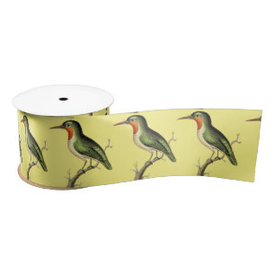 Ruban En Satin Colibri Perched Thunder_Cove