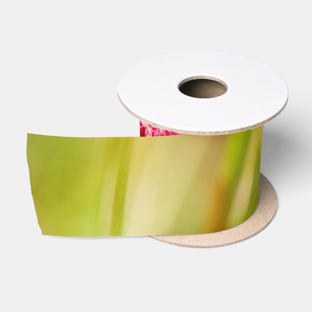 Ruban En Satin coloris (Bobine)