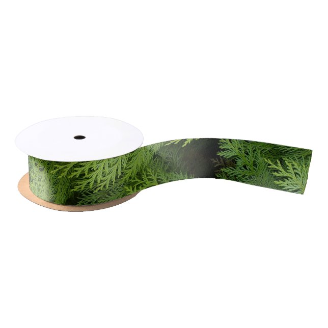Ruban En Satin Cypress (Bobine)