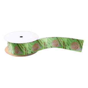 Ruban En Satin Escargot