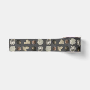 Ruban En Satin Extravaganza de coquillages