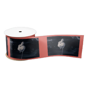 Ruban En Satin Flamant rose à une jambe noir et blanc