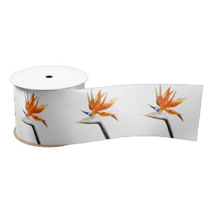 Ruban En Satin Fleur tropicale orange oiseau de paradis
