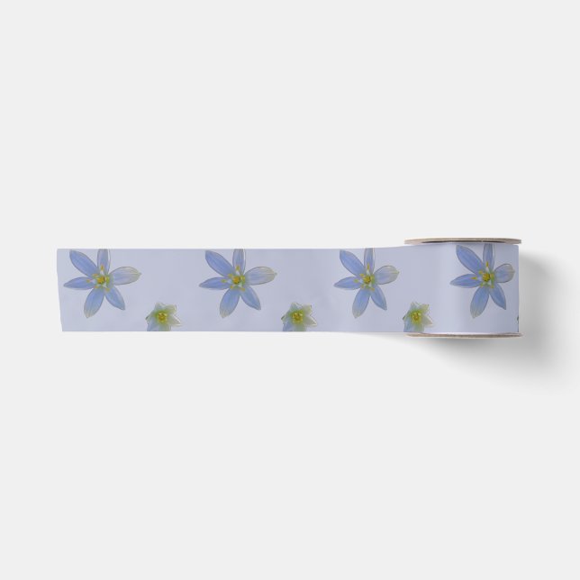 Ruban En Satin fleurir en blanc (Devant)