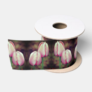 Ruban En Satin Fleurs De Tulipes Roses Avec Arroses