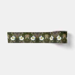 Ruban En Satin Fleurs du désert