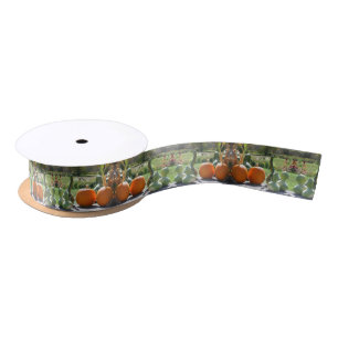 Ruban En Satin Gourmets Et Ferme Citrouille Stand 2 Automne