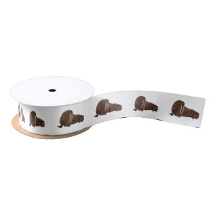 Ruban En Satin Illustration de Walrus