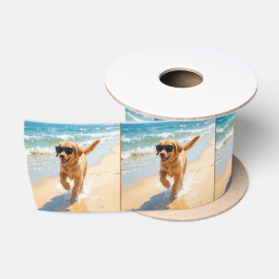 Ruban En Satin Jeune Golden Retriever se promenant sur la plage