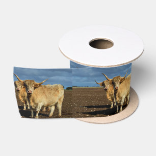 Ruban En Satin Les Hautes-Terres d'or : La grâce des vaches de co