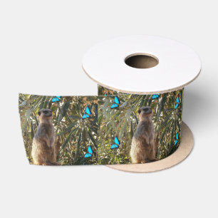Ruban En Satin Meerkat Et Papillons Bleus,