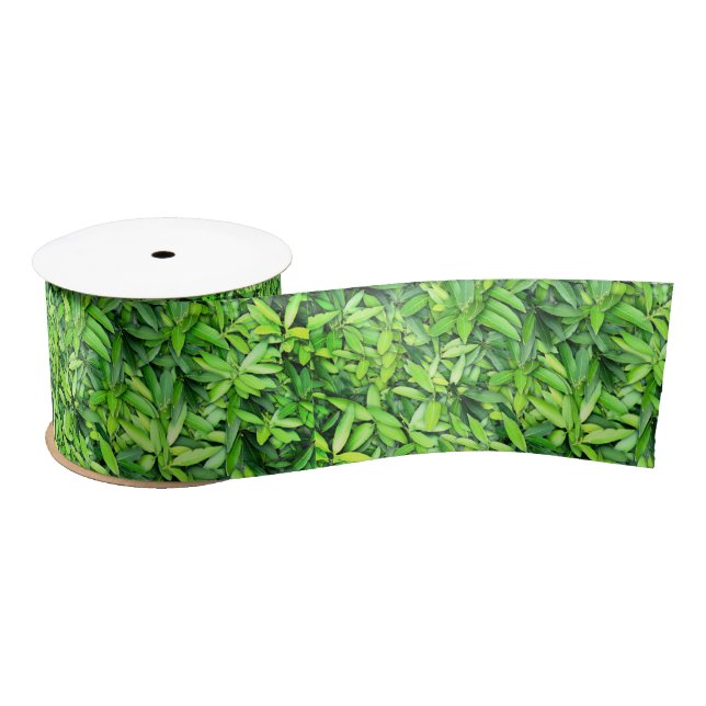 Ruban En Satin Motif Feuille verdoyant - Nature Botanique (Bobine)