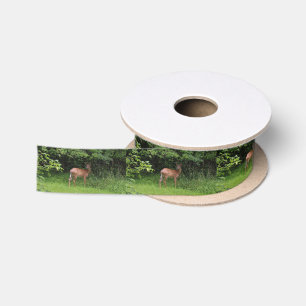 Ruban En Satin Oh cerfs communs !