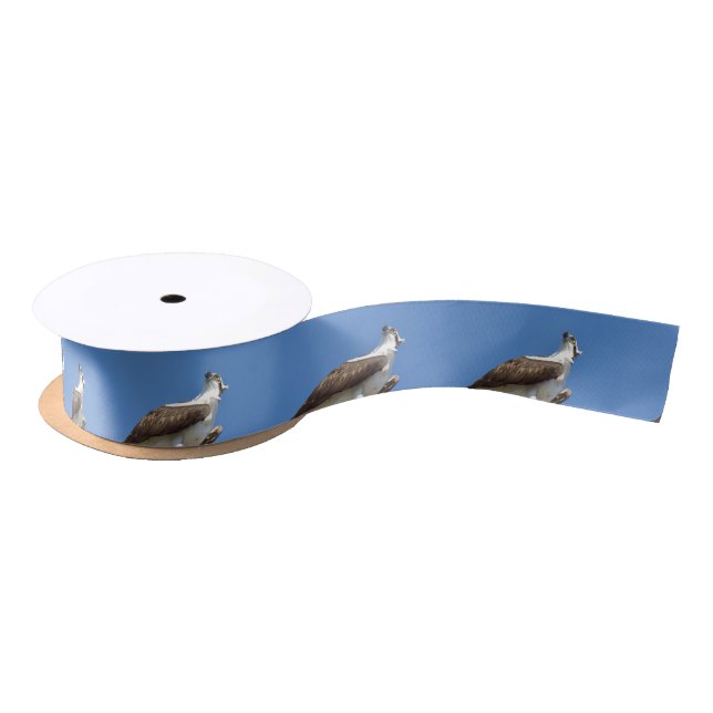 Ruban En Satin Osprey Hawk Ribbon Spool (Bobine)
