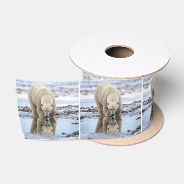 Ruban En Satin Ours polaire regardant son reflet (Bobine)