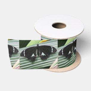 Ruban En Satin Papillon tropical noir et blanc