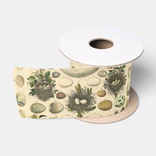 Ruban En Satin Peinture artistique de nid d'oeuf d'oiseau vintage
