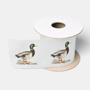Ruban En Satin Peinture de canard colvert pour chasseurs et amate