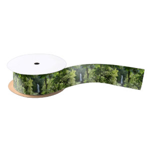 Ruban En Satin Photographie de la forêt tropicale humide des chut
