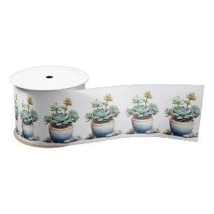 Ruban En Satin Plantes Succulents Pots