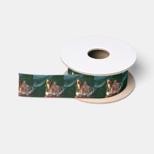 Ruban En Satin Portrait artistique de la tortue luge