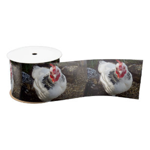 Ruban En Satin Poulet Noir Et Blanc,