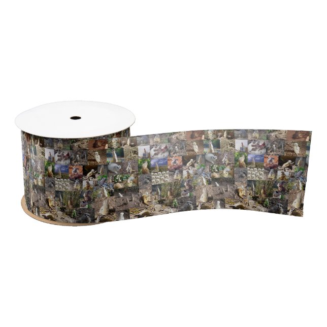Ruban En Satin Quarante Meerkats Photo Collage, (Bobine)