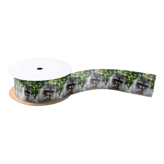 Ruban En Satin Raccoon_2014_1201 (Bobine)