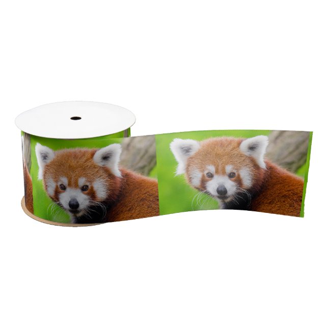 Ruban En Satin Red Panda (Bobine)
