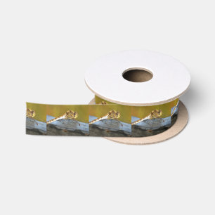 Ruban En Satin Repose Ochre Brown libellule Peinture réaliste