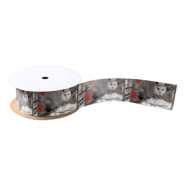 Ruban En Satin Ribbon Opossum Nature Satin (Bobine)
