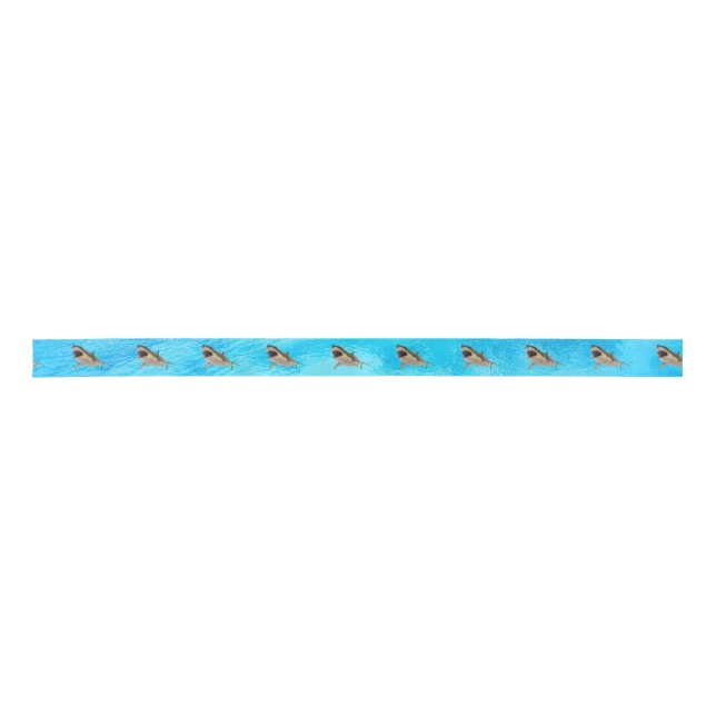 Ruban En Satin Ruban cadeau bleu grand requin blanc (Devant)