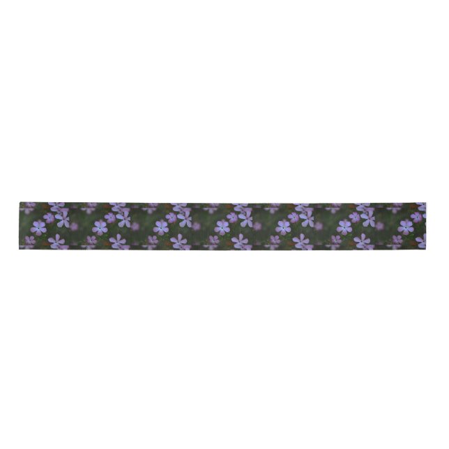 Ruban En Satin Ruban rose Fleur sauvage satin (Devant)