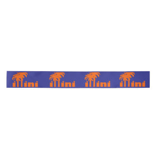 Ruban En Satin San Diego Illini Ribbon
