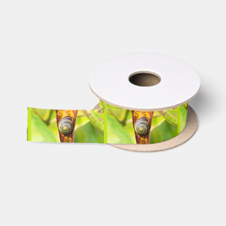 Ruban En Satin serrure fixation ruban satin