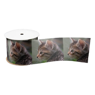 Ruban En Satin Tabby chat kitten portrait 3" ruban satin